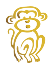 Second Hand Clothes Wholesale Supplier | P&P Textiles